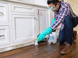 Professional Pest control in Rosepine, LA